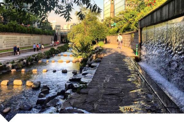 Urban environment with trees and wet street